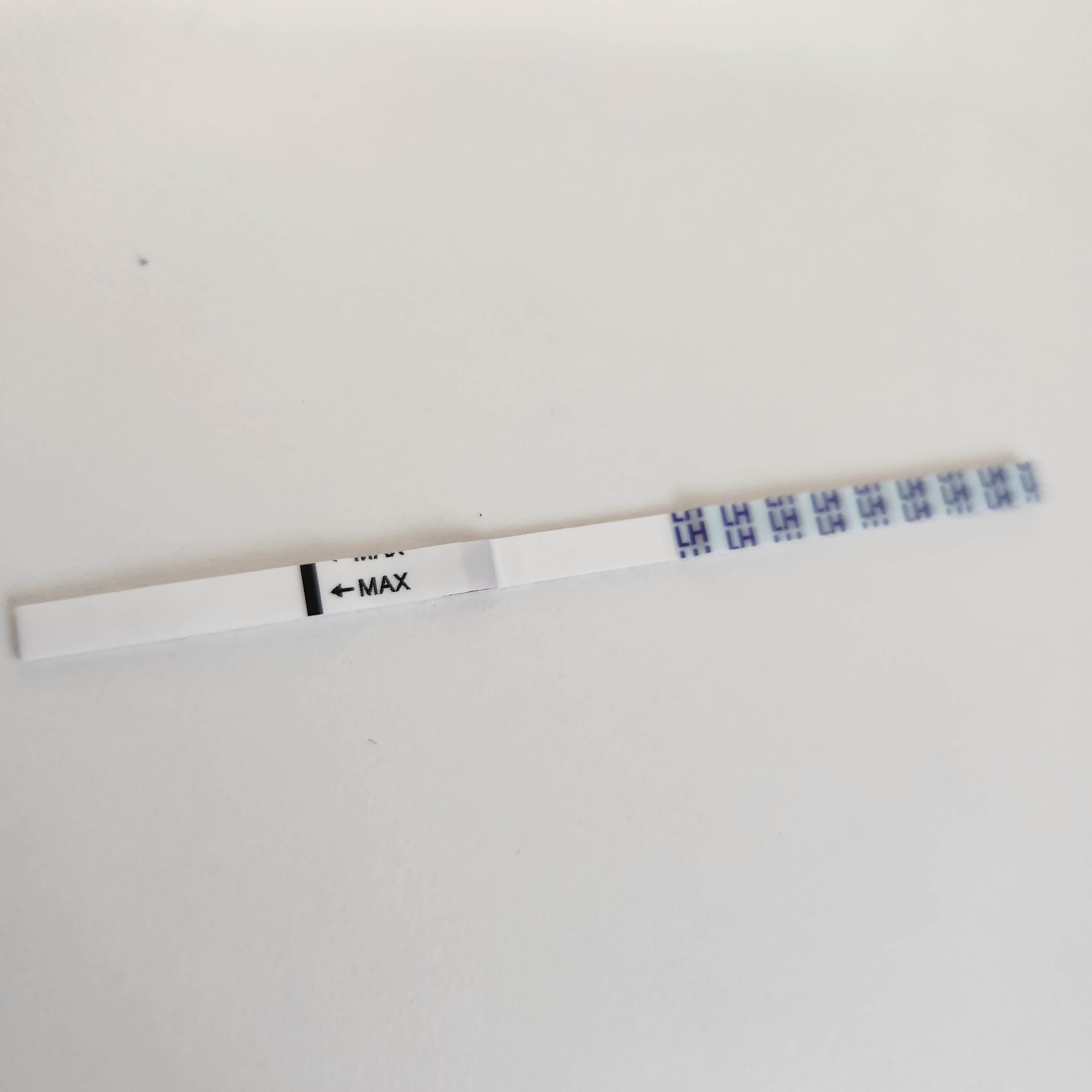 배란테스트기,임신준비,배테기