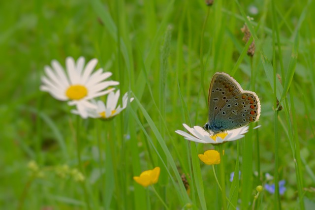 &amp;quot;-(으)ㄹ 만하다&amp;quot;
