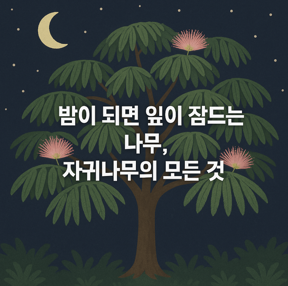 밤이 되면 잎이 잠드는 나무, 자귀나무의 모든 것