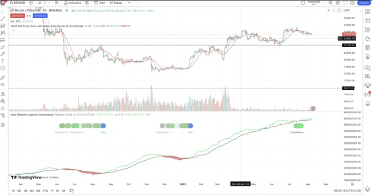 ํด์๋ฆฌ๋ณธ๊ณผ ๋ฐ๊ฐ๊ธฐ ์ฌ์ดํด-์ด๋ฏธ์ง