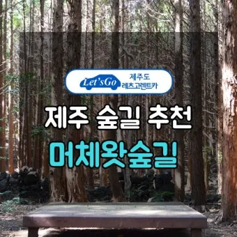 걷기 좋은 명품 숲길 50선 전국 서울 경기_12