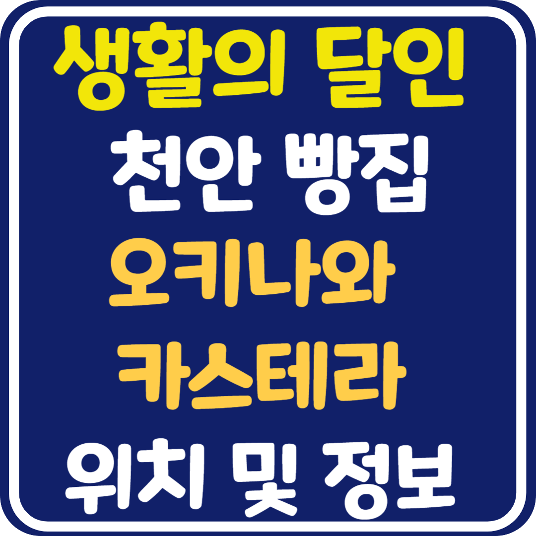 생활의 달인 천안 오키나와 카스테라 가게 위치 및 택배 주문 방법