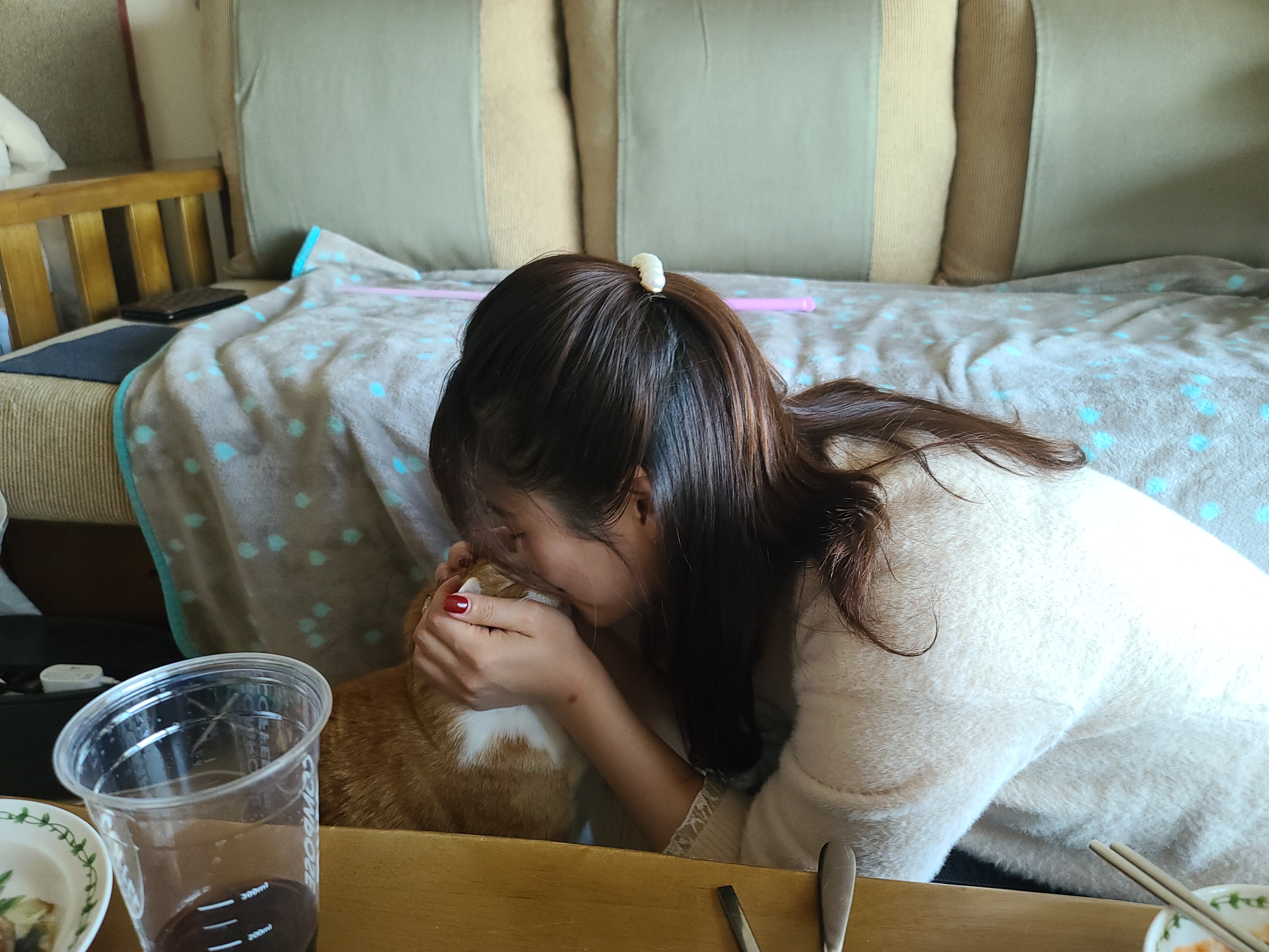 사실...호야랑 막둥이는 접대냥이었다!(feat.원조 접대냥 루나와 재밌는포즈 루디)