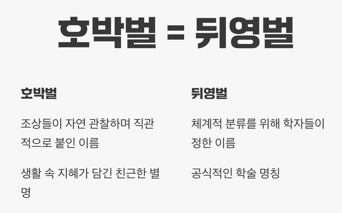 이름의 혼란, 왜 생겨났을까?