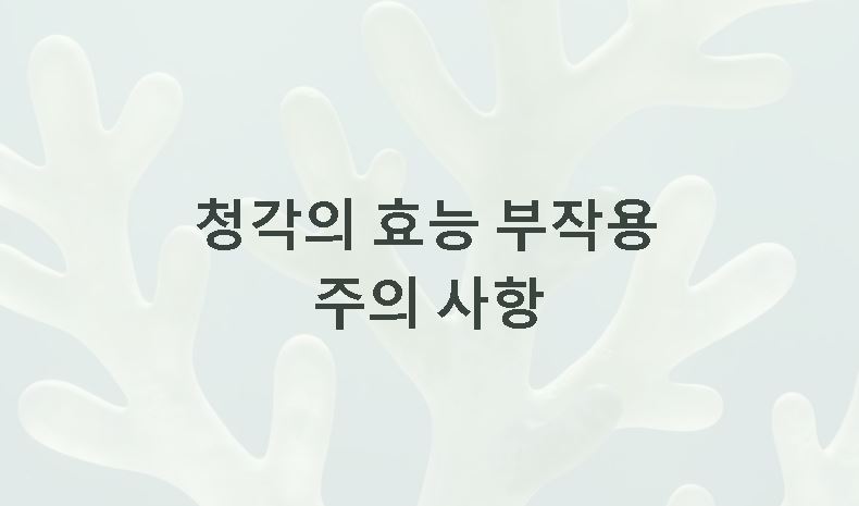 청각 효능 부작용 주의 사항