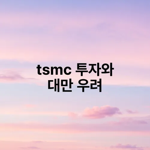 tsmc 투자와 대만 우려