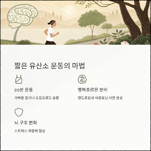 하루 10분, 스트레스를 과학적으로 없애는 5가지 습관