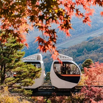 화담숲 입장료 할인 받는 법부터 예매 꿀팁까지는 총정리_7