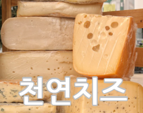 천연치즈