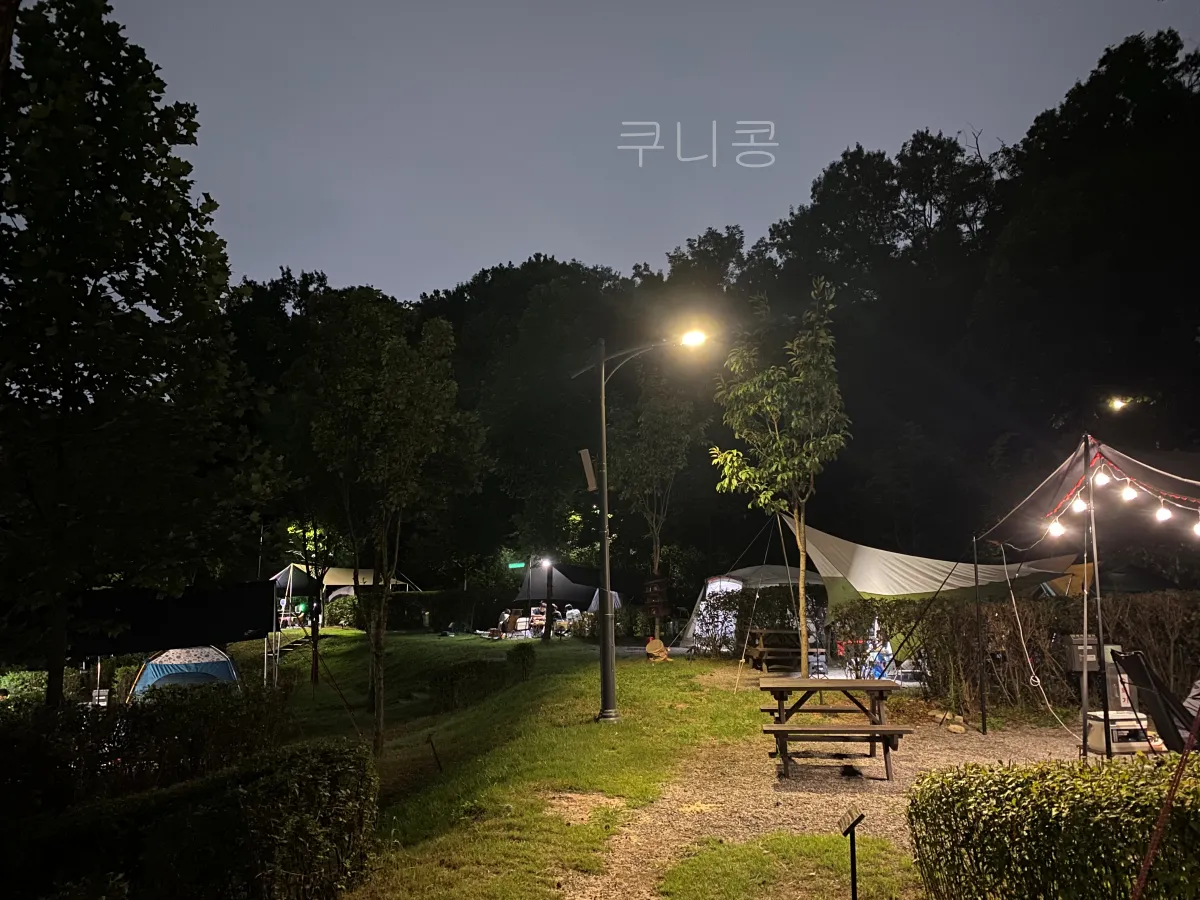 서울-가족캠핑-피크닉-추천-초안산캠핑장-자리,예약-꿀팁