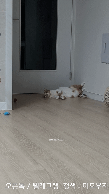 12월 11일 월 신문스크랩