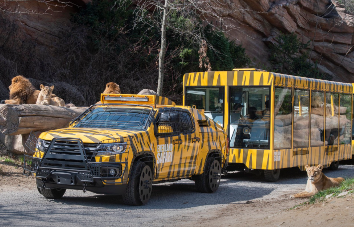 에버랜드 인기 놀이기구 TOP 5 추천 - 처음 가면 꼭 타야 할 어트랙션 정리