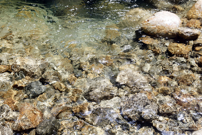 함양 가볼만한곳 베스트10