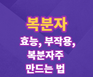 복분자