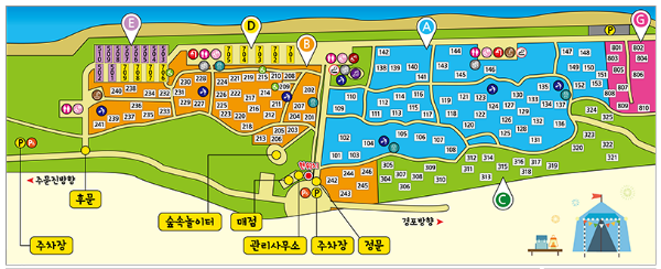 강릉 솔향기 캠핑장