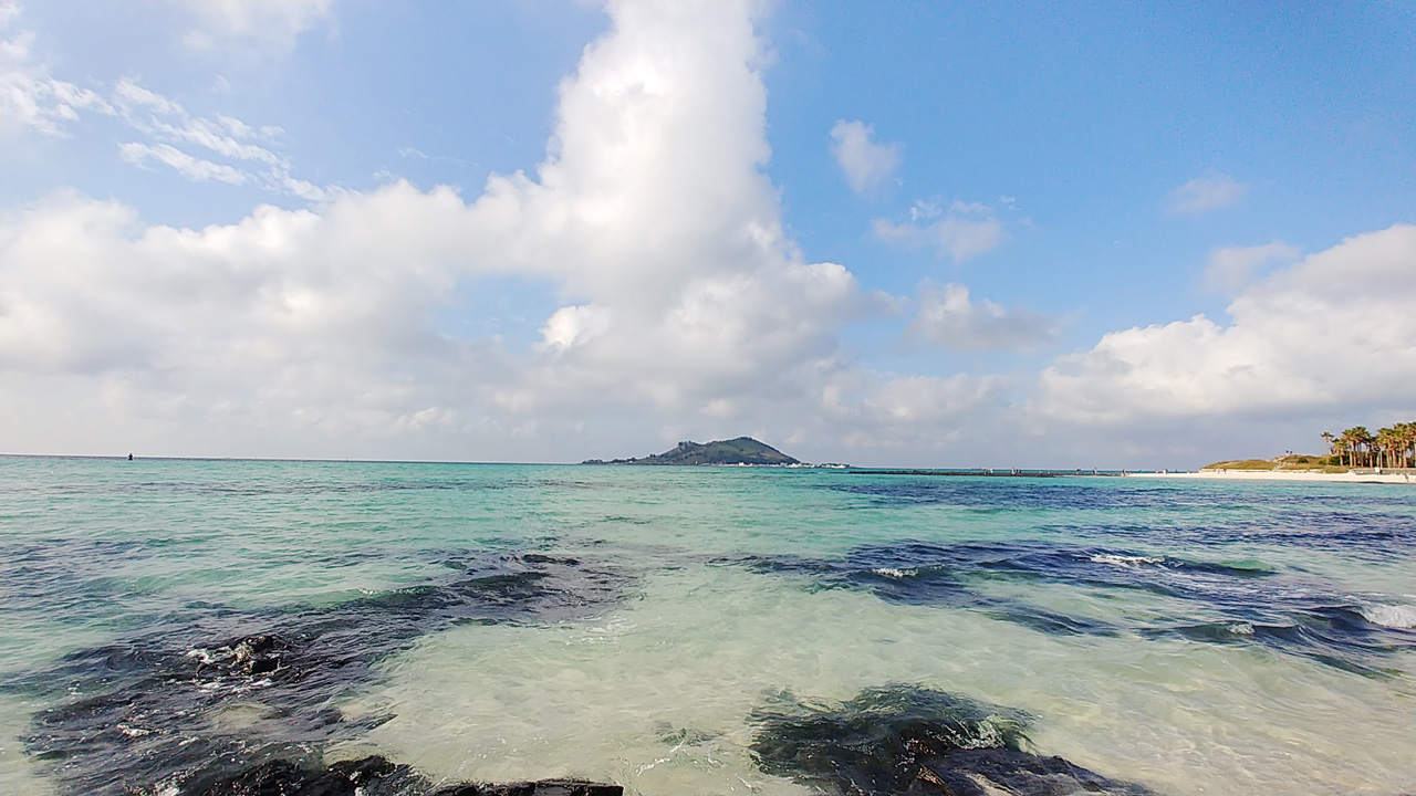 제주 협재 인생맛집 추천맛집