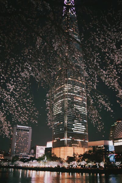 2025년 설날 기차표 예매 일정