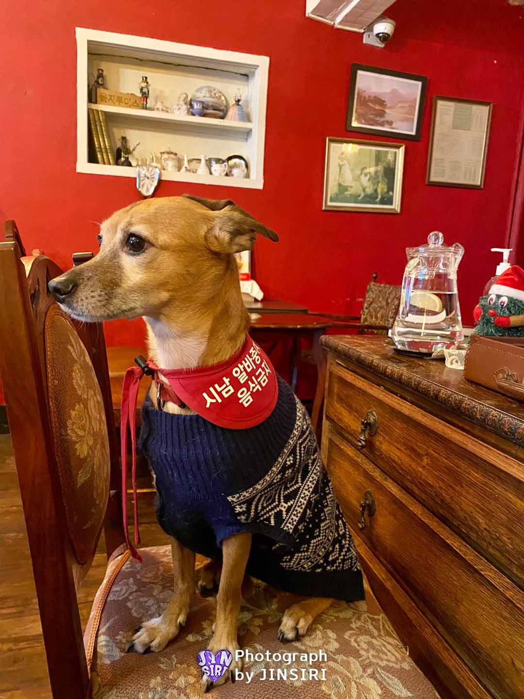 ์์ธ ์์ง๋ก ์นดํ ์์ธ๋ฐ ์นตํ
์ผ ํ์ง๋ก ํซํ ๋ฐ์ดํธ