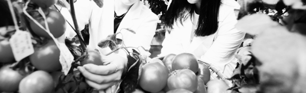 절반 이상 빨갛게 익었을 때 수확