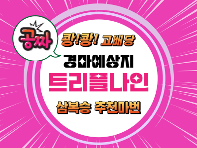 고배당 삼복승 추천마번 무료예상지 트리플나인