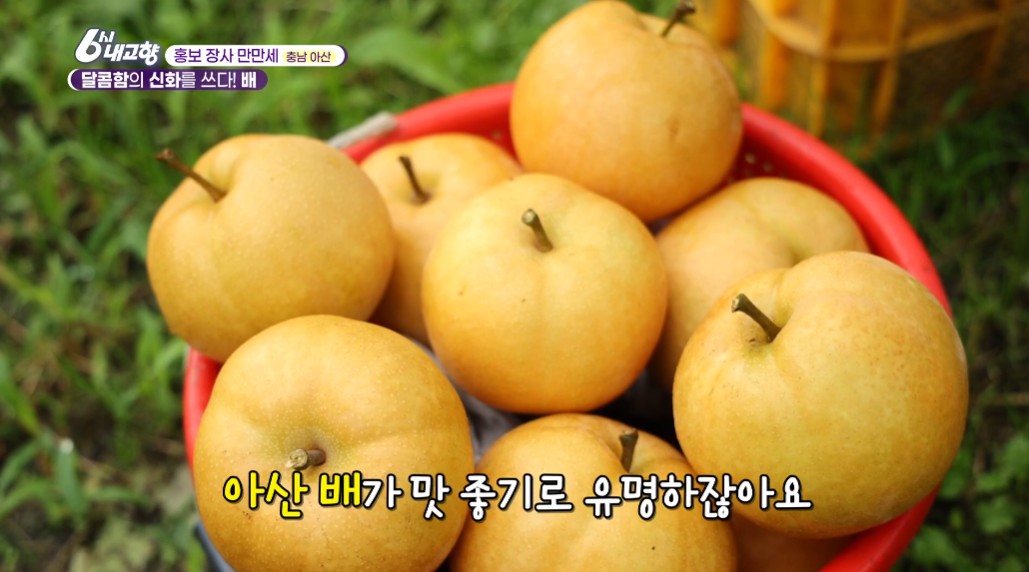 빨간 바구니에 가득 담긴 아산배