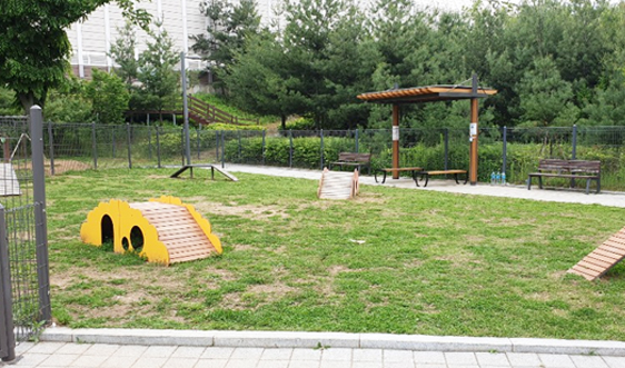 용인 반려견 놀이터