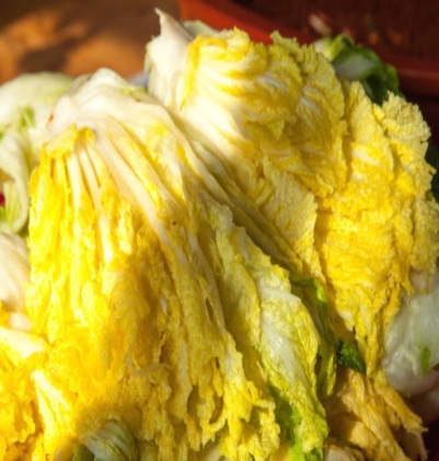 절임배추-사진4