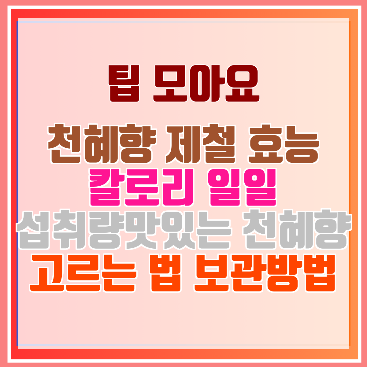 천혜향 제철 효능 칼로리 일일 섭취량맛있는 천혜향 고르는 법 보관방법