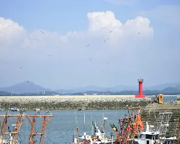 서천 홍원항 자연산 전어 꽃게 축제5