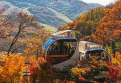 화담숲 모노레일 도보 코스 완벽 가이드