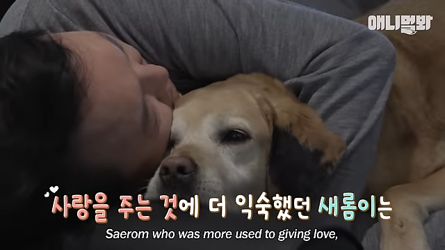 새롬이-아빠-윤석열