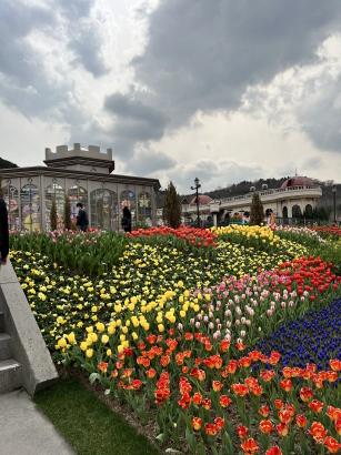 에버랜드 자유이용권 할인 최신 정보