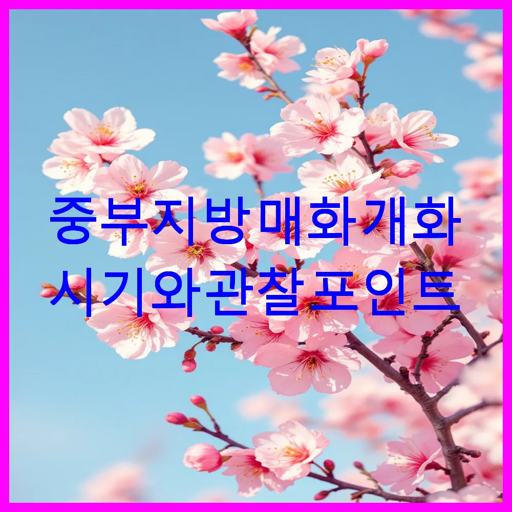 중부지방 매화 개화 시기와 관찰 포인트