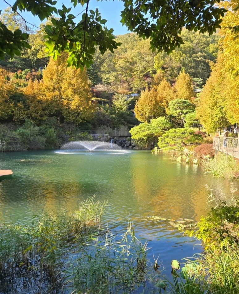 화담숲 단풍시기 예약 단풍명소