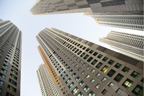 전세사기 피해자