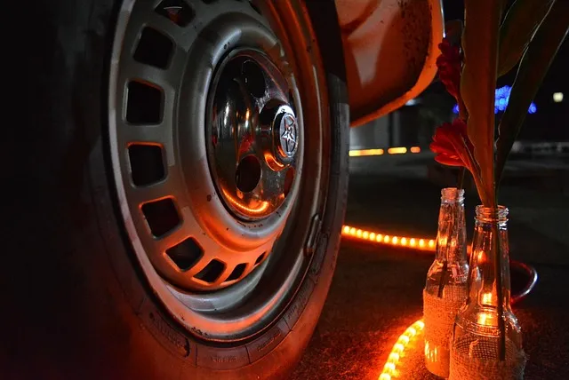 초저조도 식물 추천 빛부족집 관리요령 물주기간격 식물등활용_4