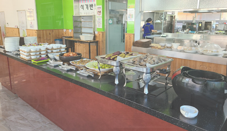 동해 무릉건강숲