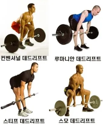 데드리프트 고중량 저반복 vs 저중량 고반복 비교 정리_5