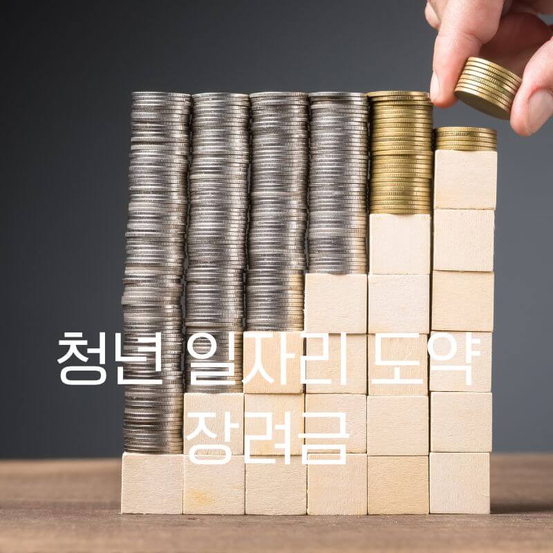 청년 일자리 도약 장려금