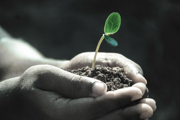 사회적 성공보다 인간적 성숙을 더 소중히 여기는 철학