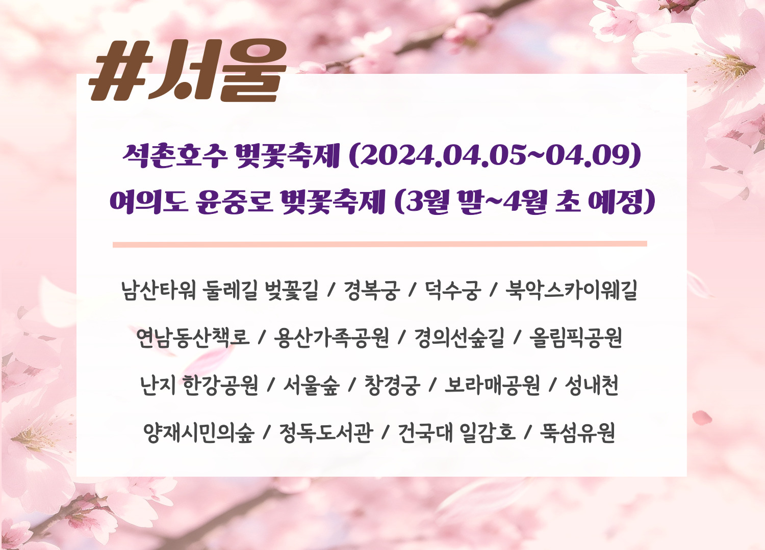 2024년 벚꽃 지역별 개화시기