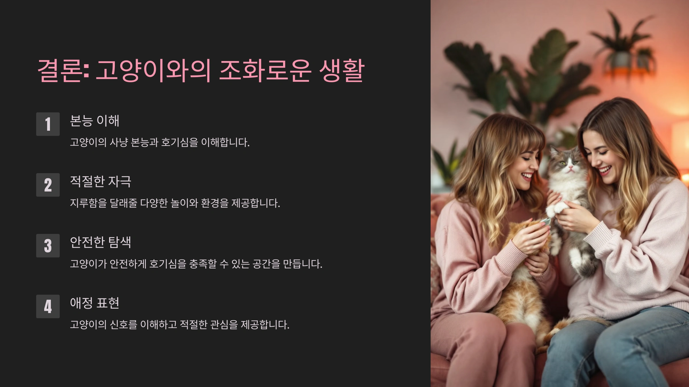 🐱 고양이가 물건을 떨어뜨리는 이유와 숨겨진 의미