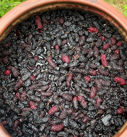 한국기행-진안-차정단-천연발효식초