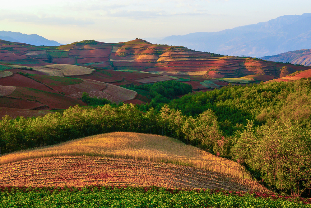 농지 임대차 계약서 작성 시 유의사항