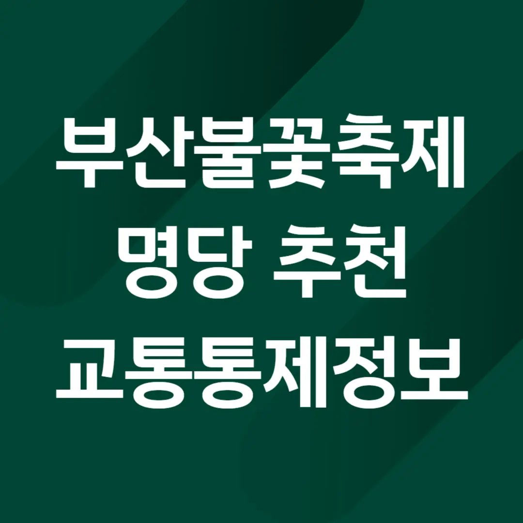 부산불꽃축제 명당 추천, 교통통제 정보