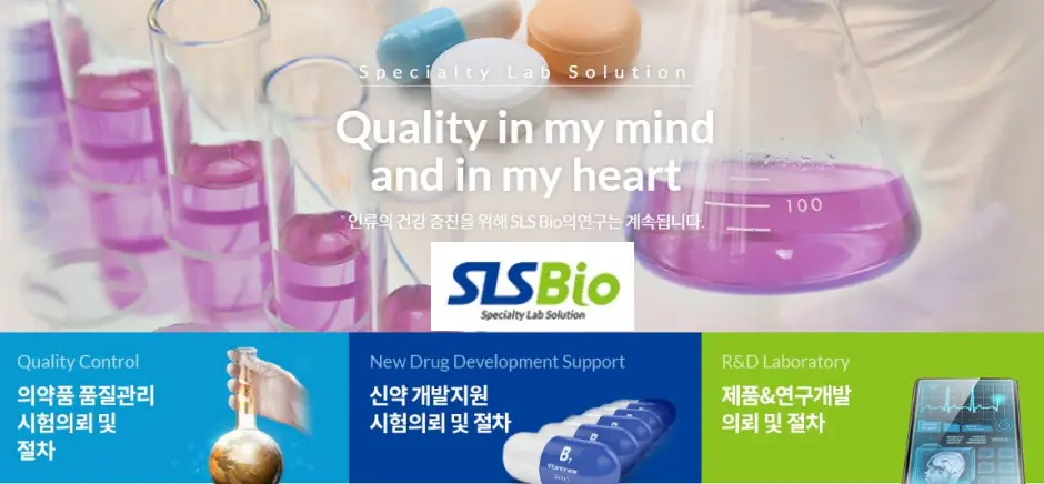 9월 공모주 일정