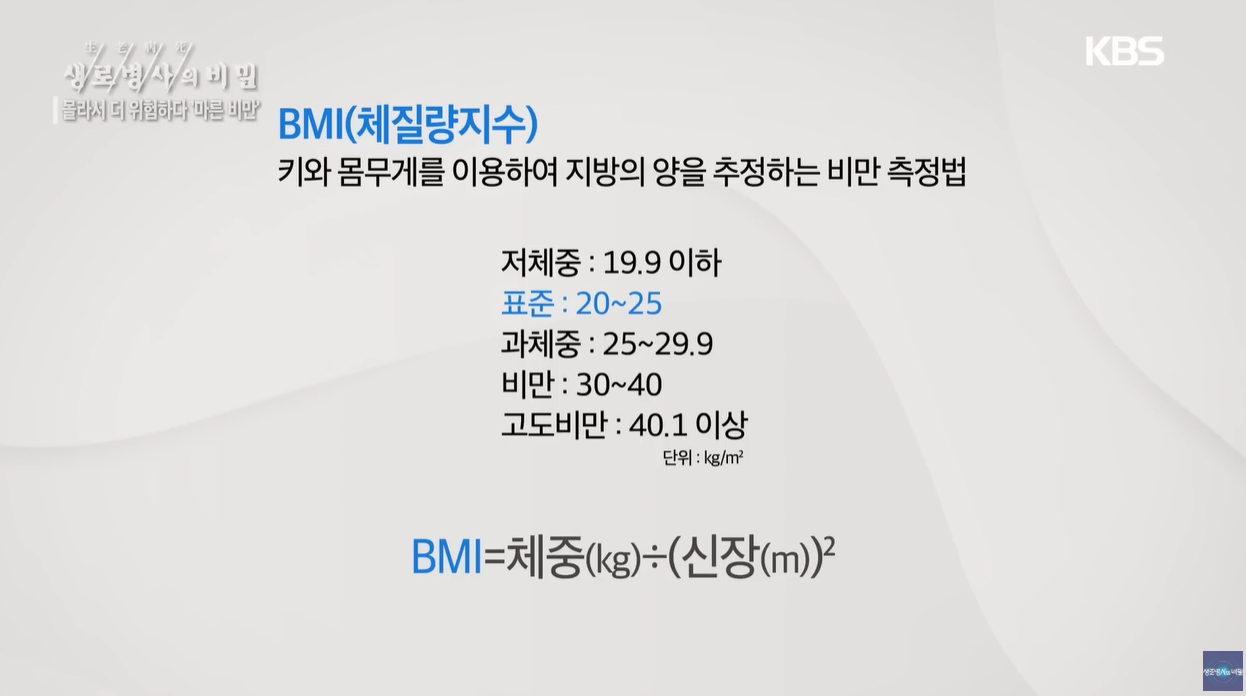 BMI 체질량지수 마른비만 체지방률 내장지방 간식중독 지바간 당뇨병 뇌졸증 수면무호흡 식습관