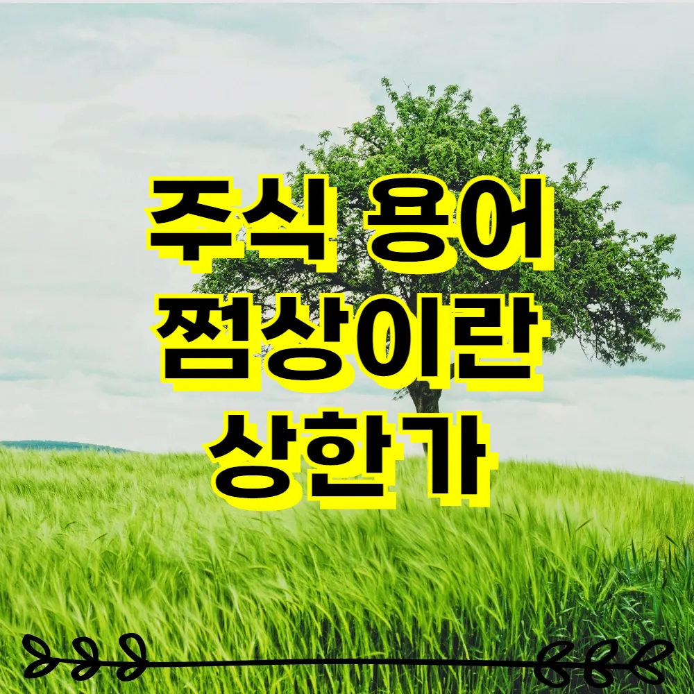 주식 용어 쩜상이란 상한가