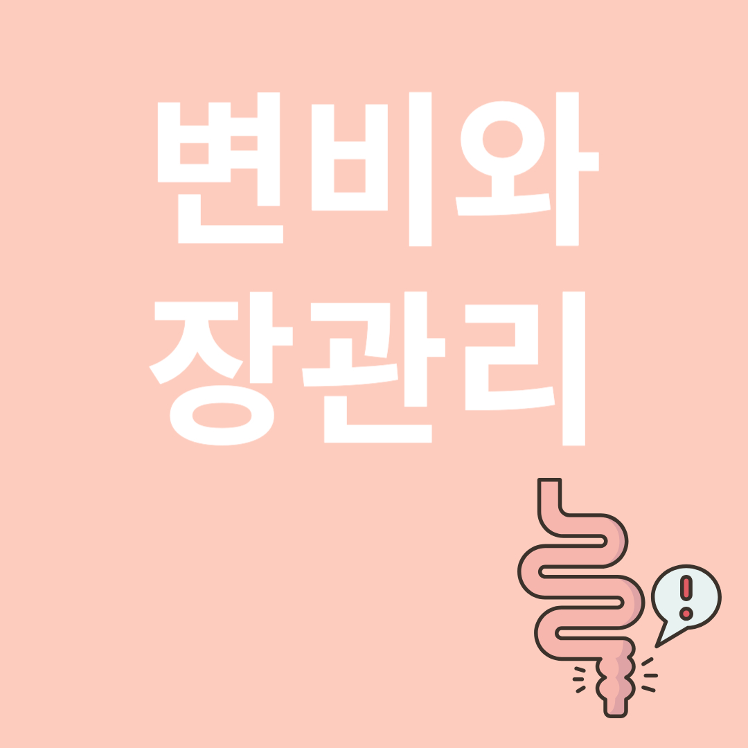 변비와 장건강과 관련된 이미지
