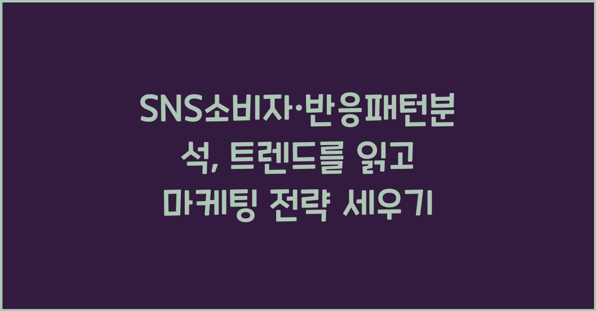 SNS소비자·반응패턴분석